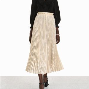 Zimmermann Sunray Burnout Pleated Maxi Skirt size 1